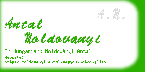 antal moldovanyi business card